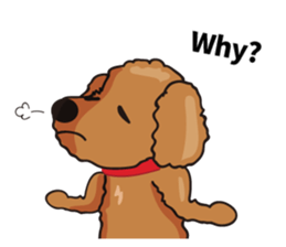 funny poodle eng sticker #8114366