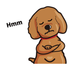 funny poodle eng sticker #8114367