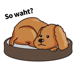 funny poodle eng sticker #8114373