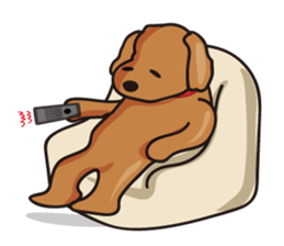 funny poodle eng sticker #8114374