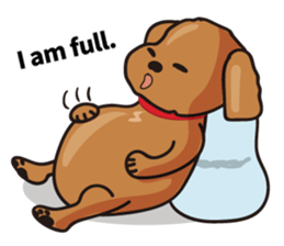 funny poodle eng sticker #8114376