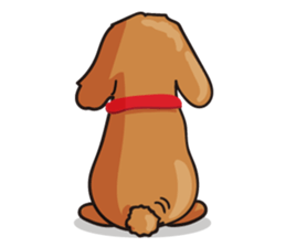 funny poodle eng sticker #8114377