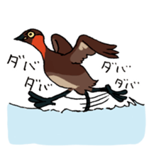 Dive Deep Little grebe sticker #8119058