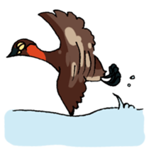 Dive Deep Little grebe sticker #8119059