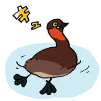 Dive Deep Little grebe sticker #8119075