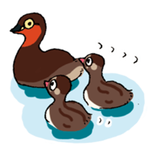 Dive Deep Little grebe sticker #8119076