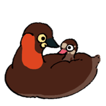 Dive Deep Little grebe sticker #8119079