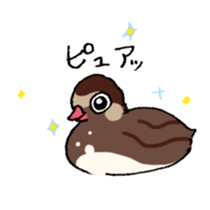 Dive Deep Little grebe sticker #8119080