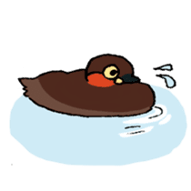 Dive Deep Little grebe sticker #8119081