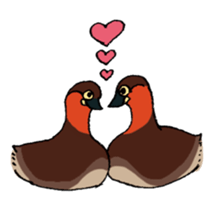 Dive Deep Little grebe sticker #8119082