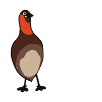 Dive Deep Little grebe sticker #8119083