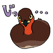 Dive Deep Little grebe sticker #8119085