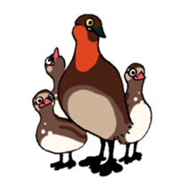 Dive Deep Little grebe sticker #8119088