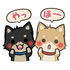 mild-Shiba-inu Vol.4 -Combi-