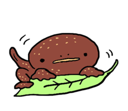 Salamander sticker #8122236