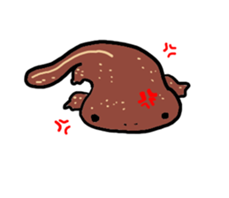 Salamander sticker #8122240