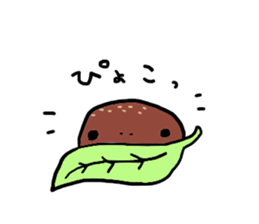 Salamander sticker #8122244