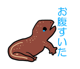 Salamander sticker #8122245