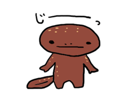Salamander sticker #8122246