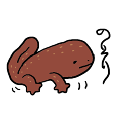 Salamander sticker #8122253