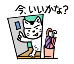 Pocha Mom Family, One day the cat spots. sticker #8123935