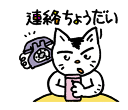 Pocha Mom Family, One day the cat spots. sticker #8123941