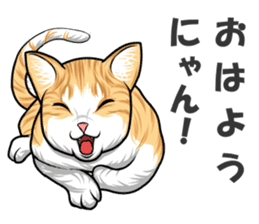 Japan cat Chaco sticker #8126645