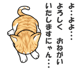 Japan cat Chaco sticker #8126647