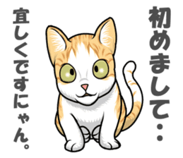 Japan cat Chaco sticker #8126651