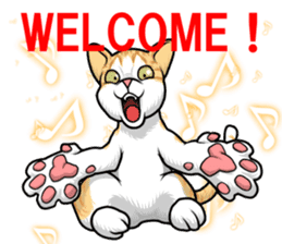Japan cat Chaco sticker #8126652