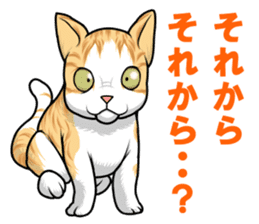 Japan cat Chaco sticker #8126653