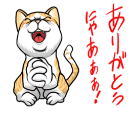 Japan cat Chaco sticker #8126654