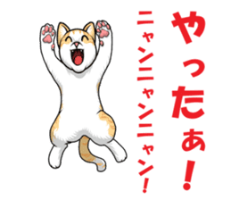 Japan cat Chaco sticker #8126656