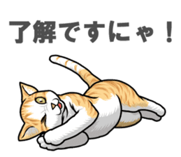 Japan cat Chaco sticker #8126657