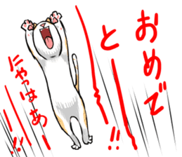 Japan cat Chaco sticker #8126658