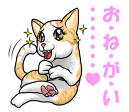 Japan cat Chaco sticker #8126661