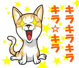 Japan cat Chaco sticker #8126662