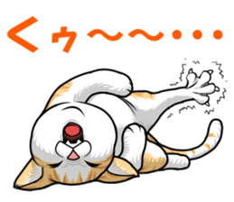 Japan cat Chaco sticker #8126666