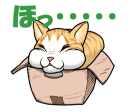 Japan cat Chaco sticker #8126667