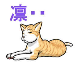 Japan cat Chaco sticker #8126670