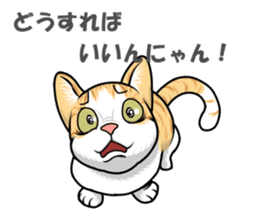 Japan cat Chaco sticker #8126671
