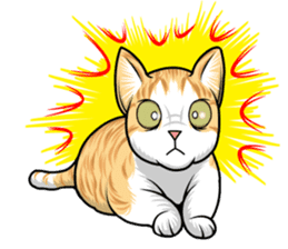 Japan cat Chaco sticker #8126672