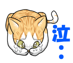 Japan cat Chaco sticker #8126673