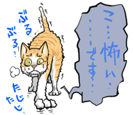 Japan cat Chaco sticker #8126674