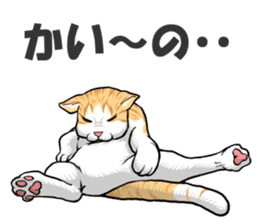 Japan cat Chaco sticker #8126675