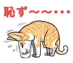 Japan cat Chaco sticker #8126678