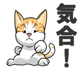 Japan cat Chaco sticker #8126680