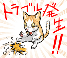 Japan cat Chaco sticker #8126681