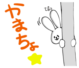 A word of USAPI sticker #8131218