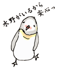 The Sticker sent to Mizuno sticker #8131181